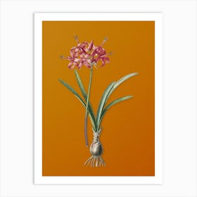 Vintage Guernsey Lily Botanical on Sunset Orange n.0700 Art Print
