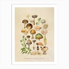 Mushroom Collection 05 Art Print