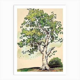 Beech Tree Storybook Illustration 3 Art Print