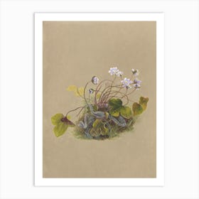 Pond flowers Art Print