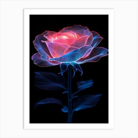 Luminous Rose Art Print