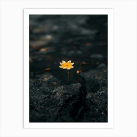 Lotus Flower In Water Art Print