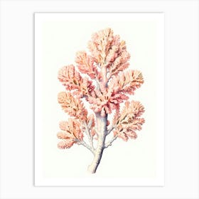 Coral Reef Art Print