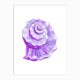 Purple Seashell Art Print