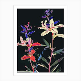 Neon Flowers On Black Lobelia 2 Art Print