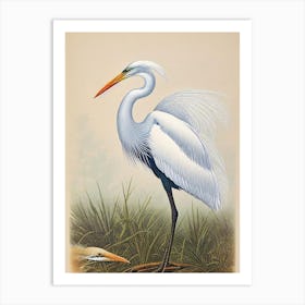 Egret James Audubon Vintage Style Bird Art Print