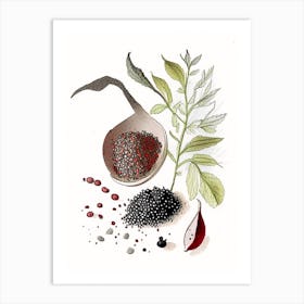 Black Pepper Spices And Herbs Pencil Illustration 2 Art Print