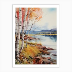 Birches On The River Art Print