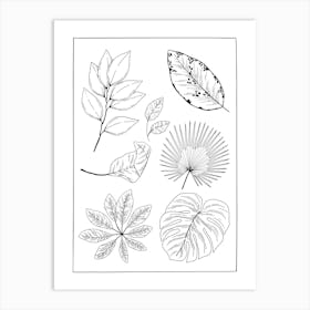 Tropical Leaves 11 Art Print