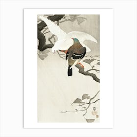 Two Pigeons On A Branch (1900 1910), Ohara Koson Art Print