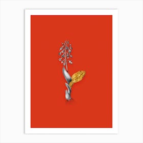 Vintage Brown Widelip Orchid Black and White Gold Leaf Floral Art on Tomato Red n.0053 Art Print
