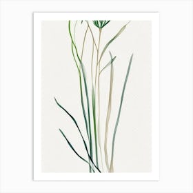 Wild Onion Leaf Minimalist Watercolour 3 Art Print