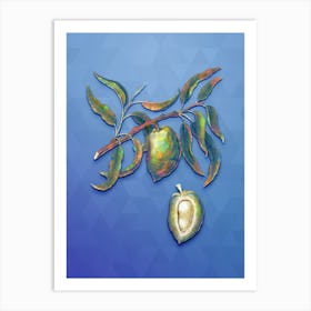 Vintage Almond Botanical Art on Blue Perennial Art Print