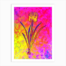 Mourning Iris Botanical in Acid Neon Pink Green and Blue n.0135 Art Print