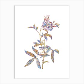 Stained Glass White Rose of York Mosaic Botanical Illustration on White n.0038 Art Print