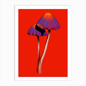 Shrooms Art Print