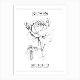 Roses Sketch 53 Poster Art Print