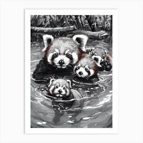 Red Panda Family Swimming Ink Illustration A River Ink Illustration 1 Art Print