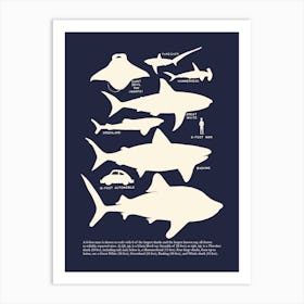 Retro Style Shark Art Print