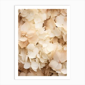 Boho Dried Flowers Hydrangea 2 Art Print