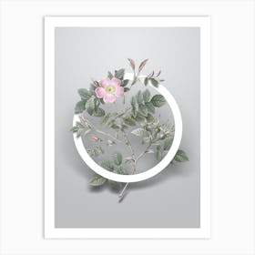 Vintage Malmedy Rose Minimalist Flower Geometric Circle on Soft Gray Art Print