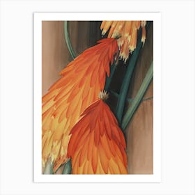 Orange Floral Wall Art Print Art Print