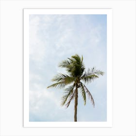 Palm Tree On The Beach |Blue sky |Thailand | Koh Samui Art Print