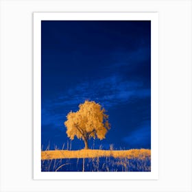 Lone Tree Art Print