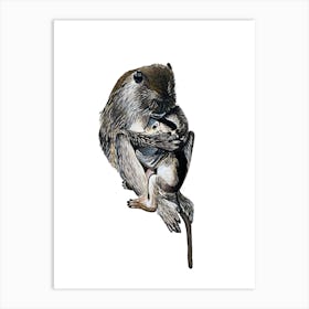 Mother and baby monkey Art Print