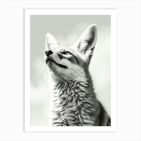 Bengal Fox Portrait Pencil Drawing 4 Art Print