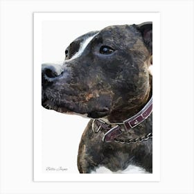 Staffy Portrait Art Print