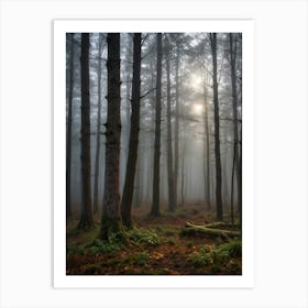 Foggy Forest Art Print