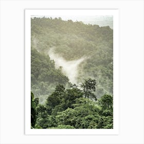 Foggy Jungle Art Print