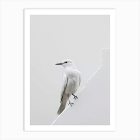 White Bird Perched On Wall Art Print