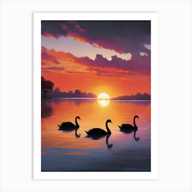 Swans At Sunset Art Print