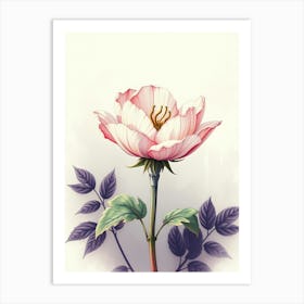 Pink Rose Art Print