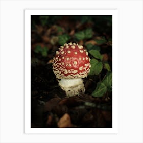 Red Mushroom // Nature Photography Art Print