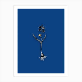 Vintage Alpine Squill Black and White Gold Leaf Floral Art on Midnight Blue n.0947 Art Print