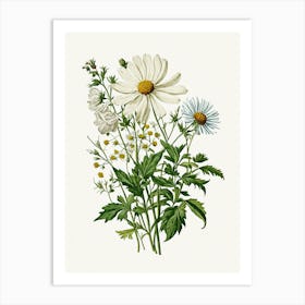 Vintage Botanical Galleria Style Wildflower Painting 6 Art Print