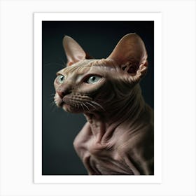 Sphynx Cat 1 Art Print