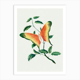 Rose Bush And Butterfly By Mary Altha Nims Art Print