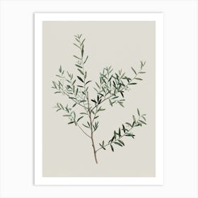 Floral Minimalist Botanical Wall Art Print Art Print