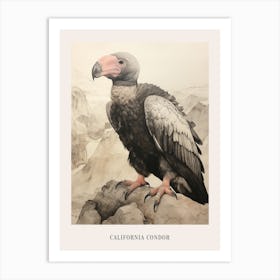 Vintage Bird Drawing California Condor 3 Poster Art Print