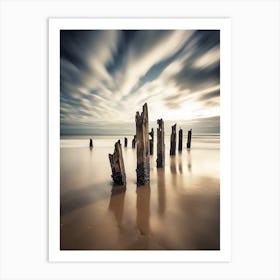 Driftwood On The Beach Art Print