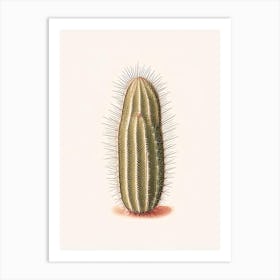 Pincushion Cactus Marker Art 3 Art Print