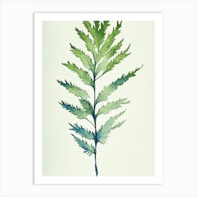 Wormwood Leaf Minimalist Watercolour 3 Art Print