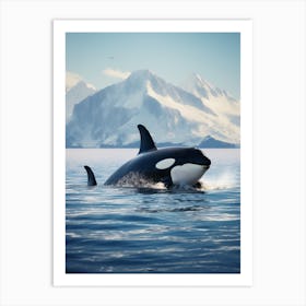 Icy Blue Realistic Photography Orca Whale 1 Art Print
