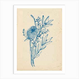 Blue Banksia Vintage Art Print