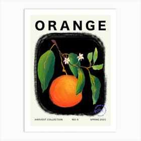 Orange Fruit Kitchen Typography Art Print
