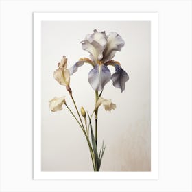 Pressed Wildflower Botanical Art Wild Iris Art Print